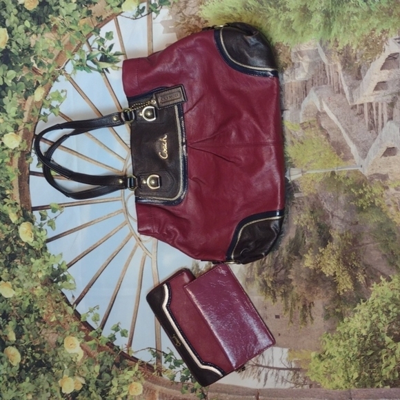 Coach Ashley leather satchel, wallet, check book cover - Picture 1 of 9